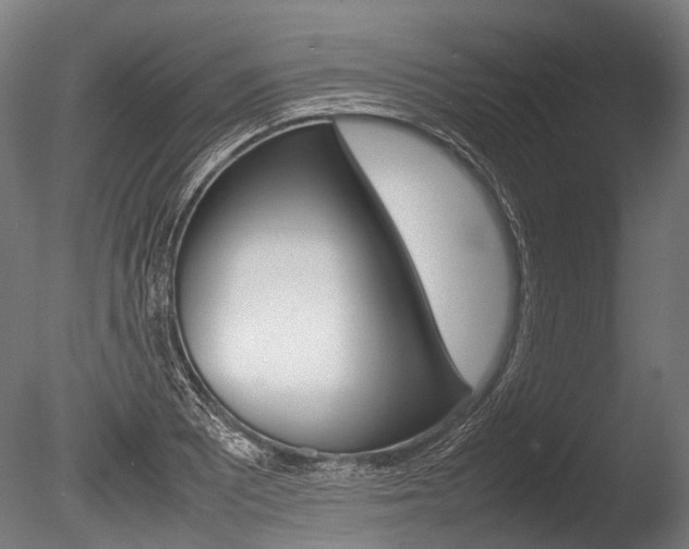 X0000086041081200703230848