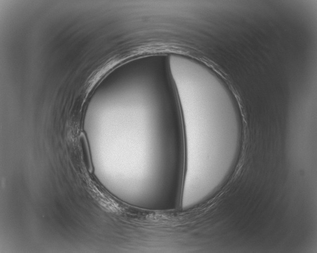 X0000086041089200703230848