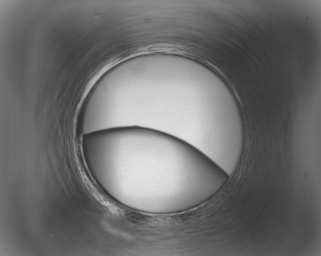 X0000086041091200703230848