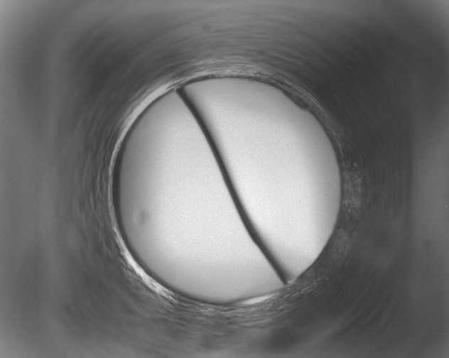 X0000086041095200703230847