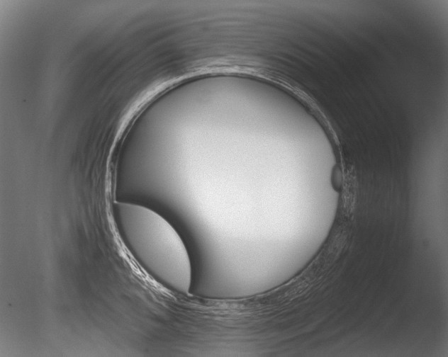 X0000086041096200703230847