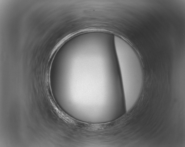 X0000086041101200703230847