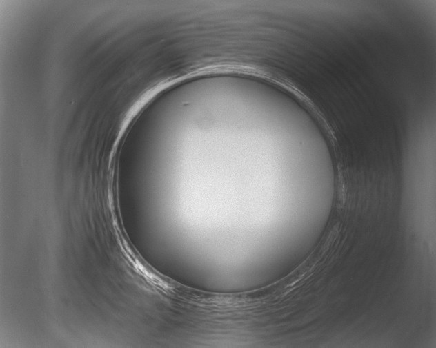 X0000086041102200703230847