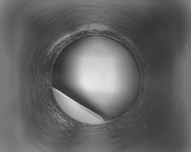X0000086041112200703230847
