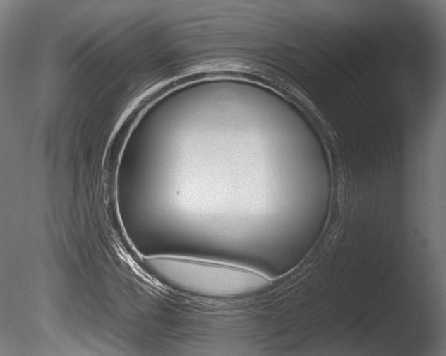 X0000086041116200703230847