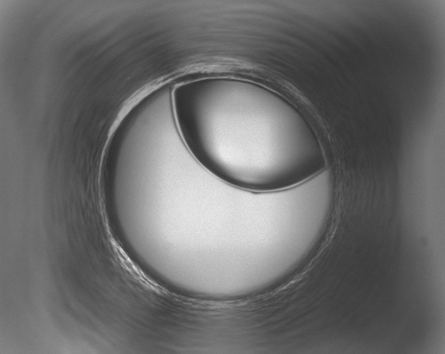 X0000086041122200703230847