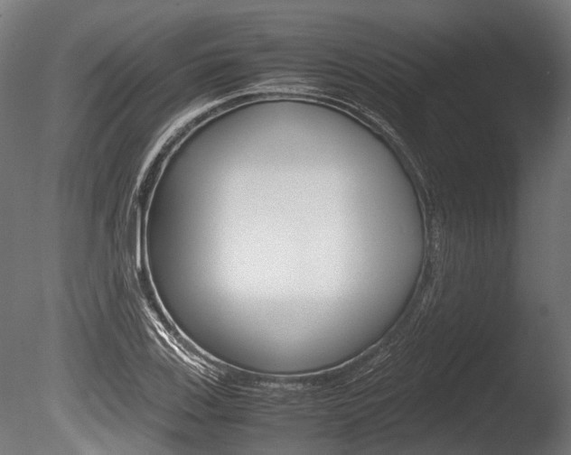 X0000086041123200703230847