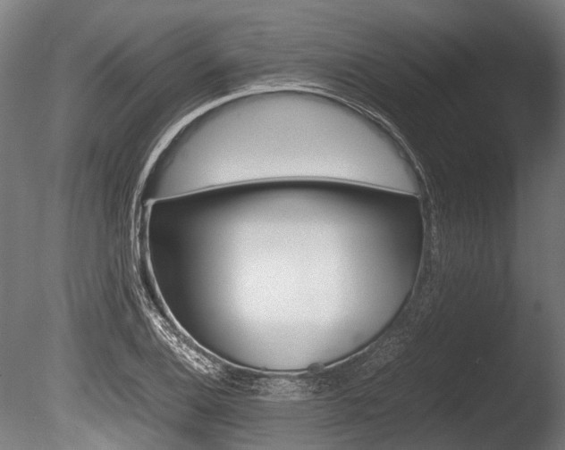 X0000086041124200703230847