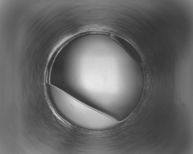 X0000086041128200703230847