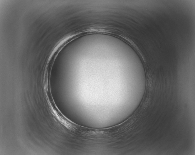 X0000086041131200703230847