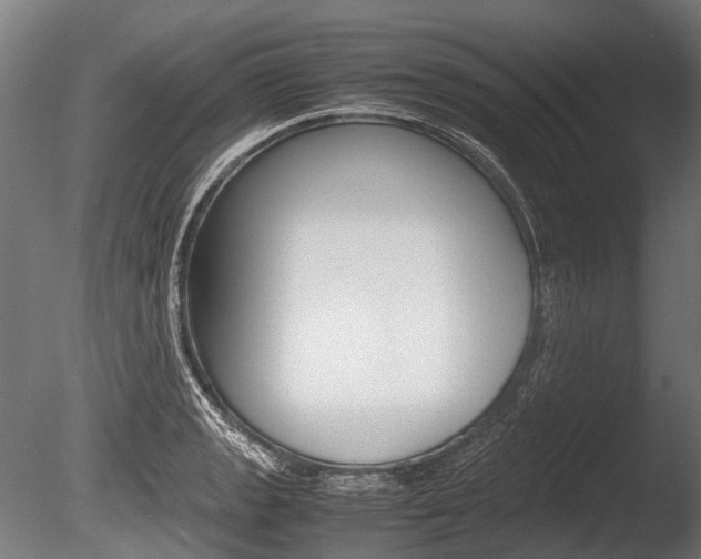 X0000086041133200703230847