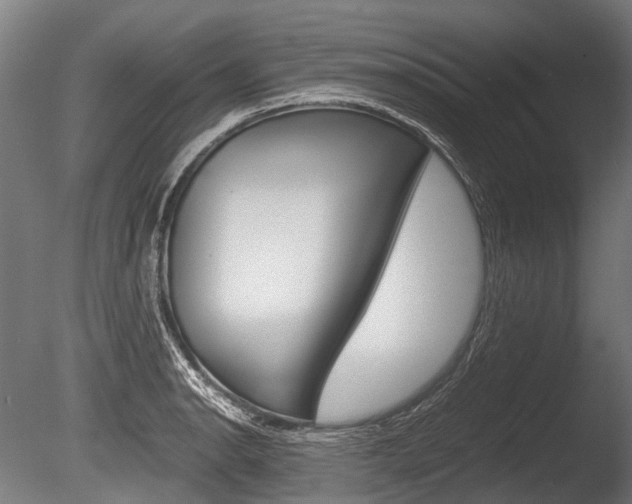 X0000086041134200703230847