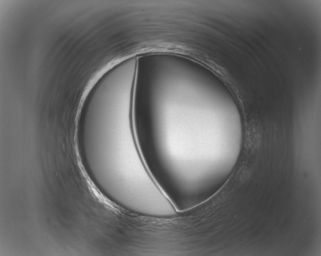 X0000086041136200703230847