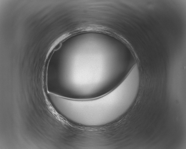 X0000086041138200703230847