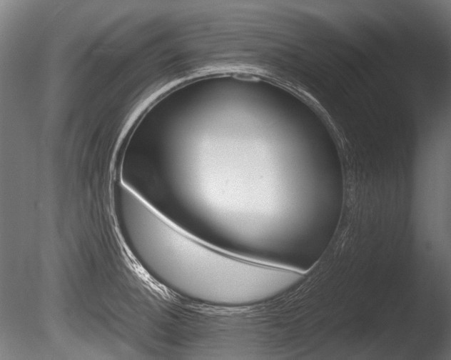 X0000086041140200703230847