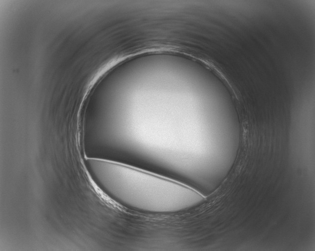 X0000086041143200703230847