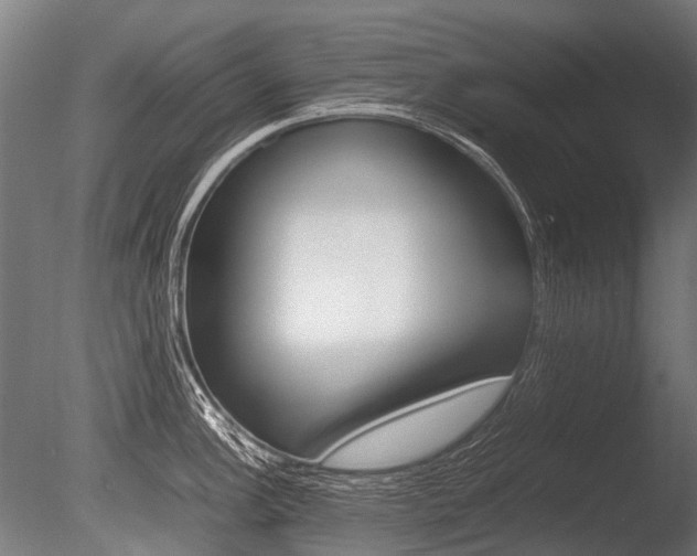X0000086041148200703230847