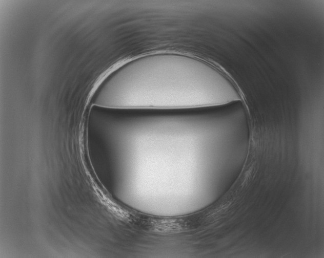 X0000086041149200703230847