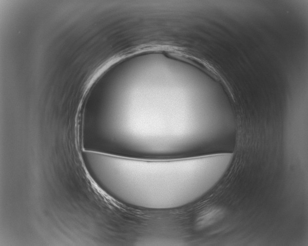 X0000086041151200703230847