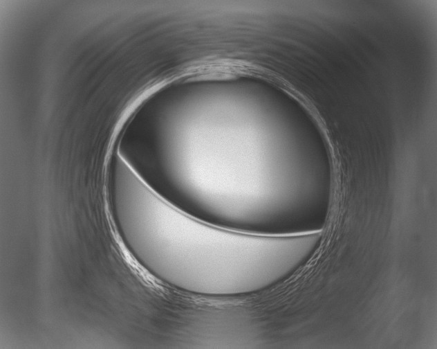 X0000086041152200703230847