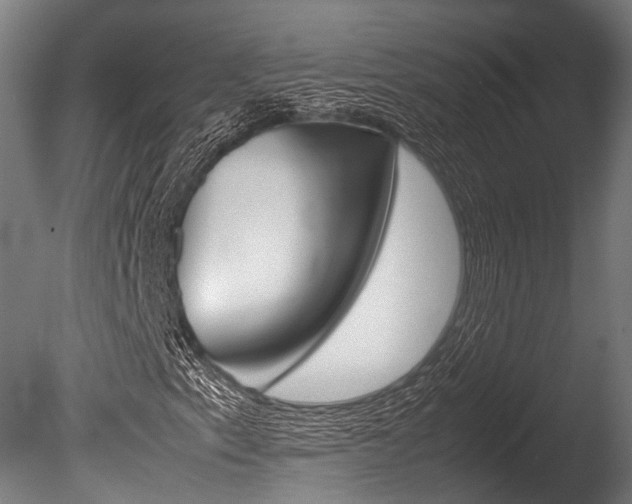 X0000086041153200703230846