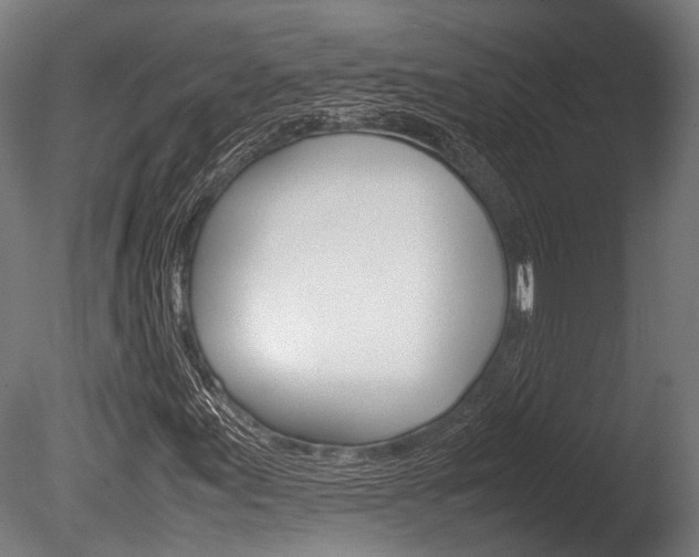 X0000086041155200703230846