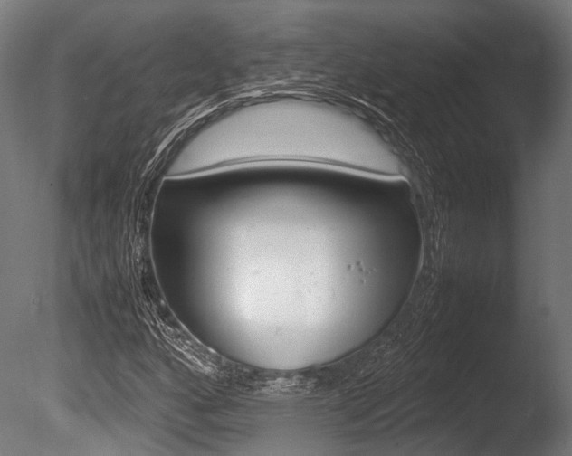 X0000086041160200703230846