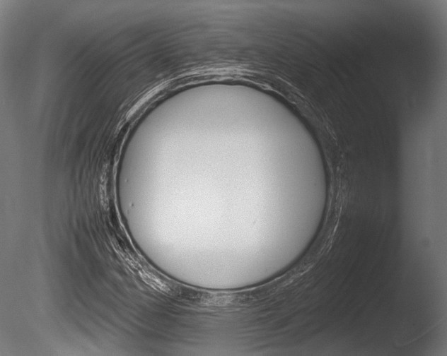 X0000086041162200703230846