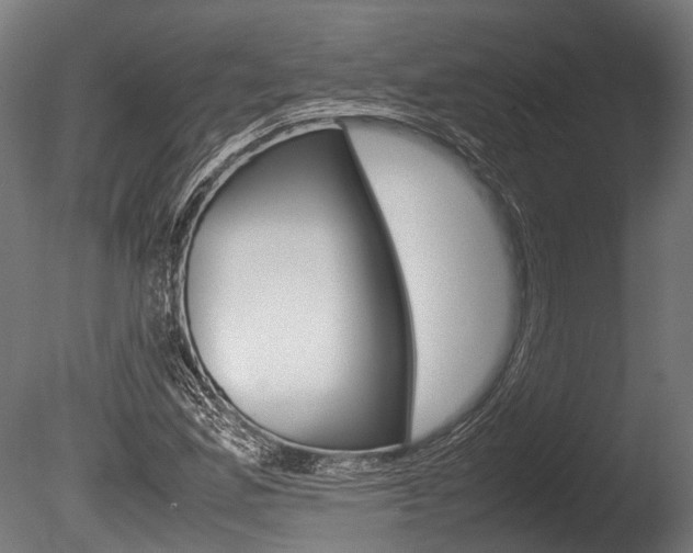 X0000086041165200703230846