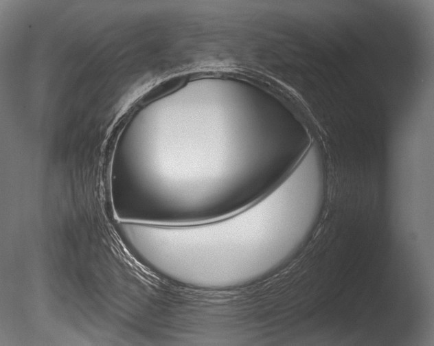 X0000086041168200703230846