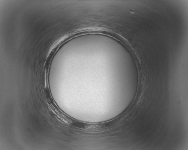 X0000086041171200703230846