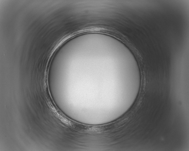 X0000086041178200703230846