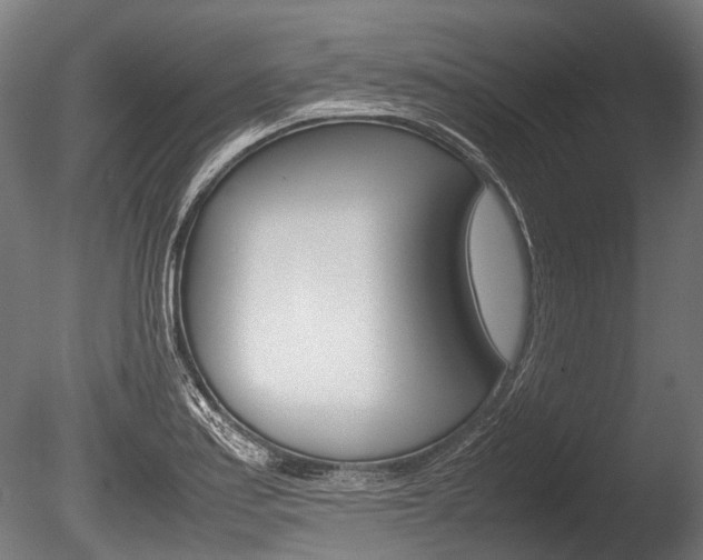X0000086041179200703230846