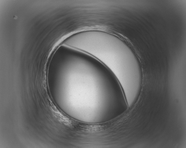 X0000086041184200703230846