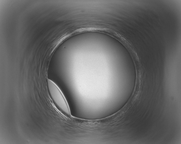 X0000086041185200703230846