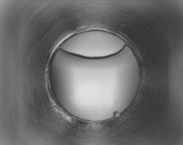 X0000086041190200703230846
