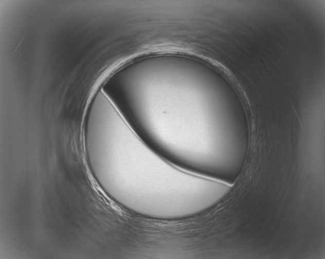 X0000086041191200703230846