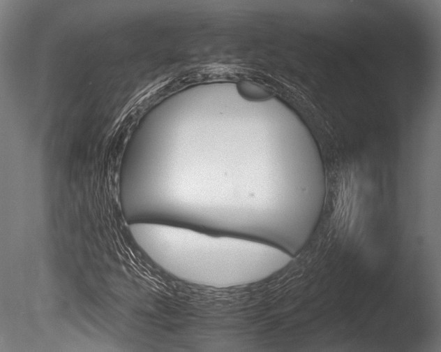 X0000086041207200703230845