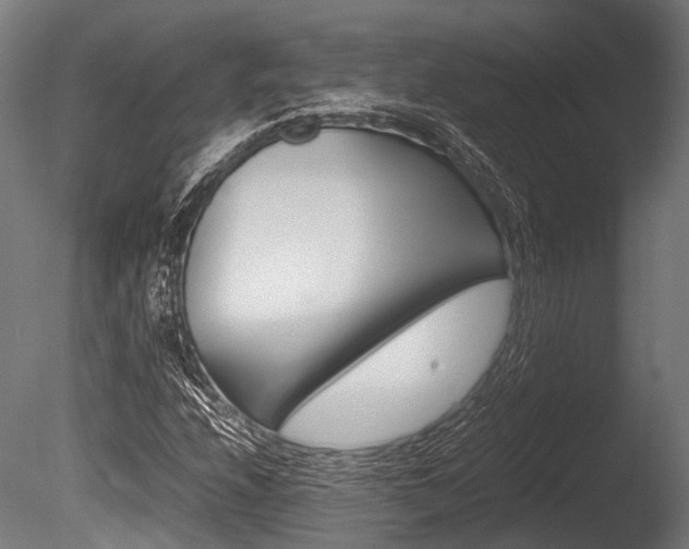 X0000086041208200703230845