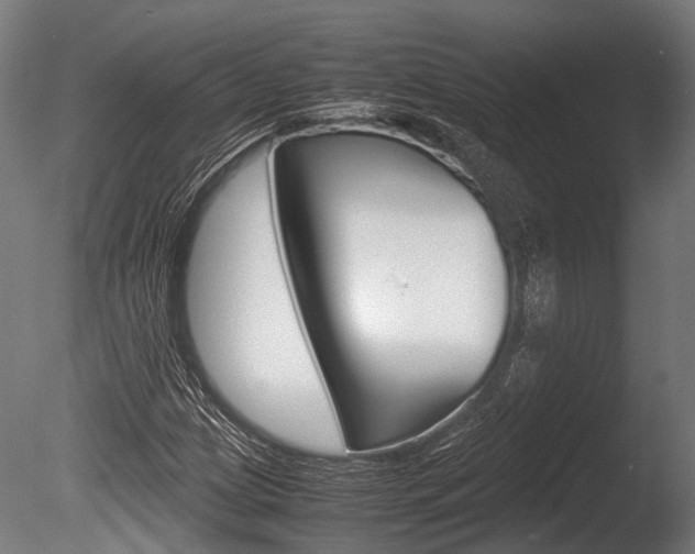 X0000086041209200703230845