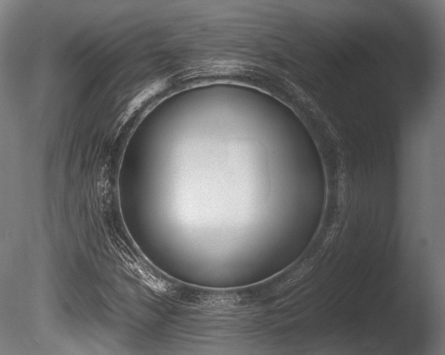 X0000086041210200703230845