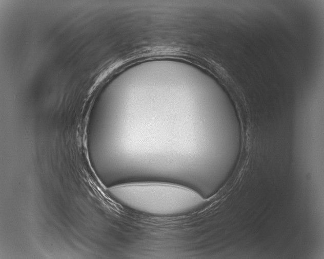 X0000086041212200703230845