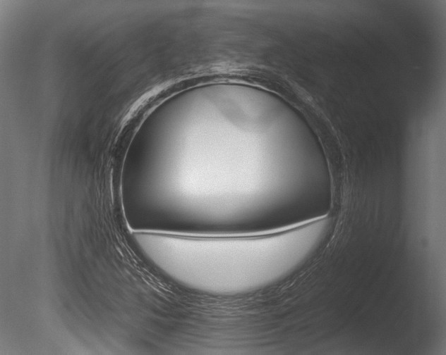 X0000086041214200703230845