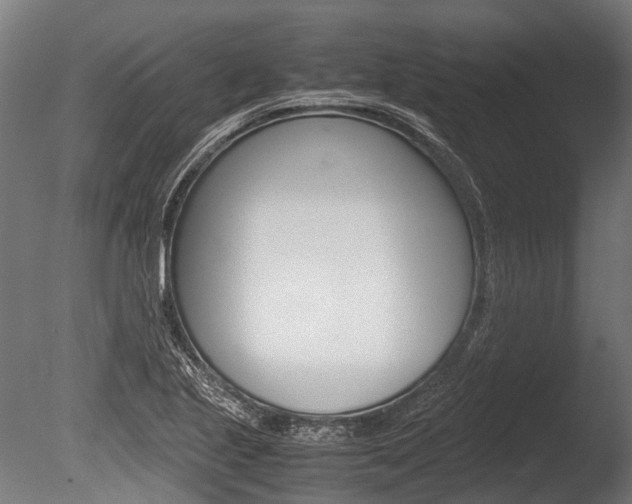 X0000086041221200703230845
