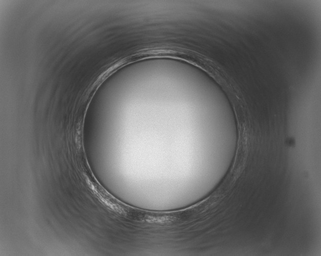 X0000086041225200703230845