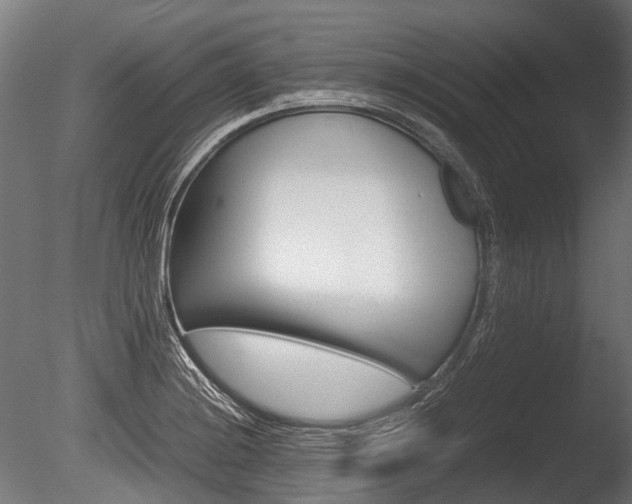 X0000086041228200703230845