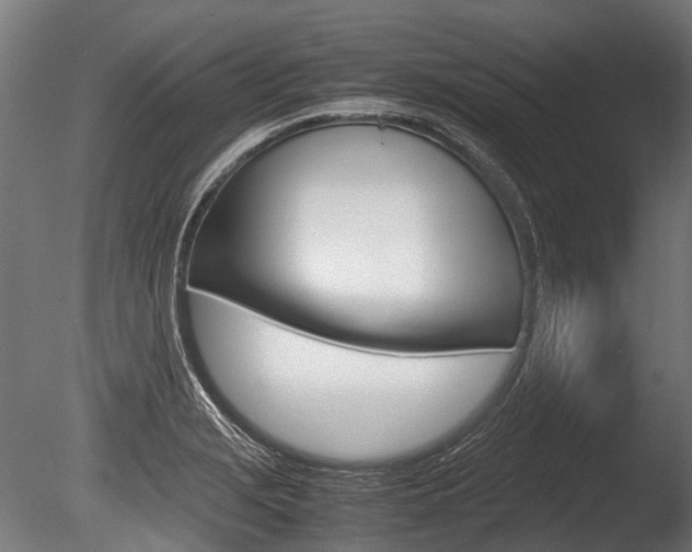 X0000086041229200703230845