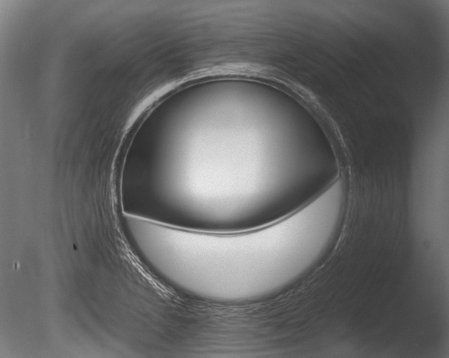 X0000086041230200703230845