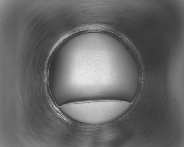 X0000086041232200703230845