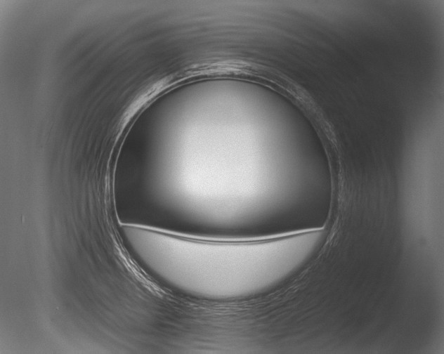 X0000086041234200703230845